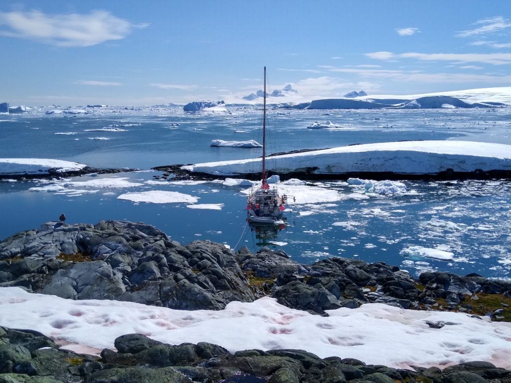 O veleiro Kotik descansa na imensidão branca da Antártica