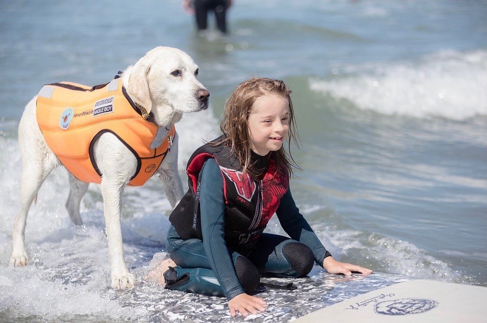 Cão surfista e terapeauta
