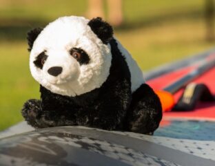 Panda Paddle