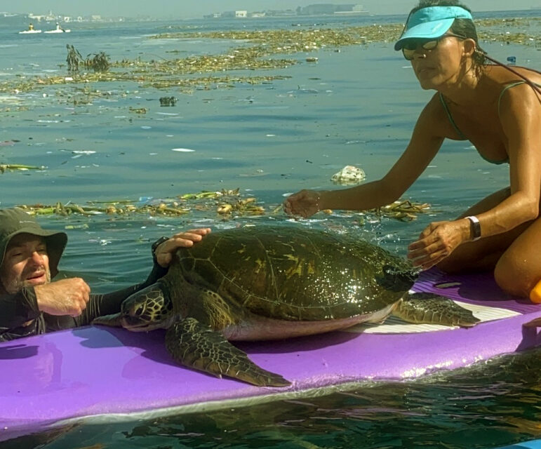 tartaruga marinha salva por remadores