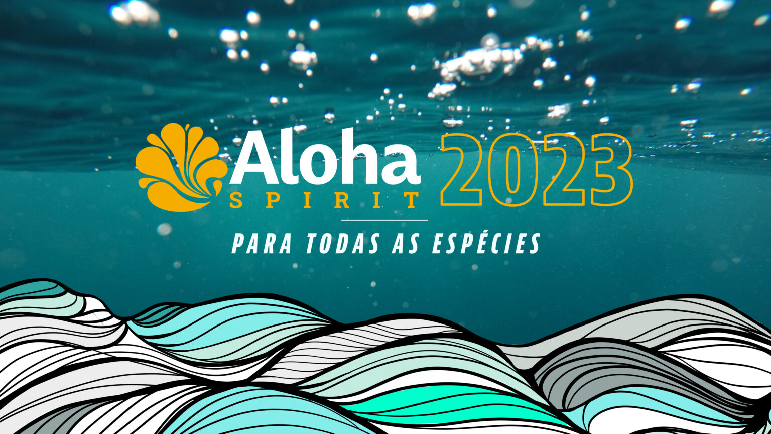 Aloha Spirit 2023 Divulga Calendário Aloha Spirit Mídia