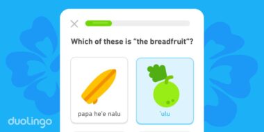 App que ensina havaiano