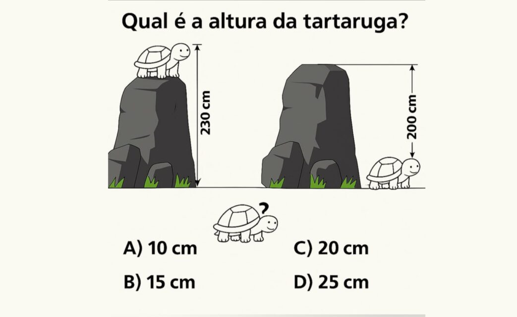 Exercícios para a mente
