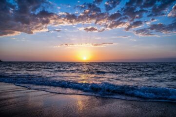 Ocean Week
