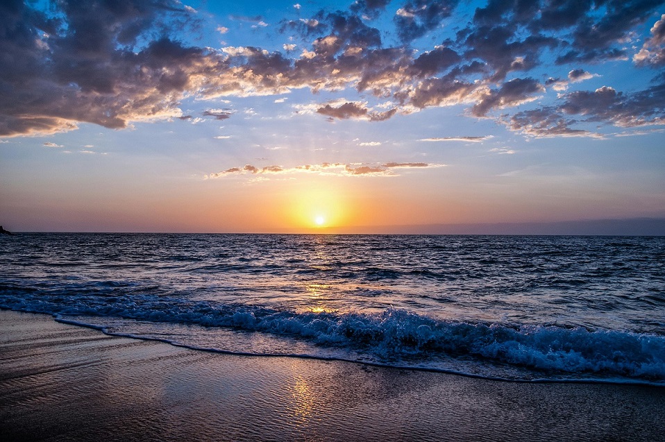 Ocean Week
