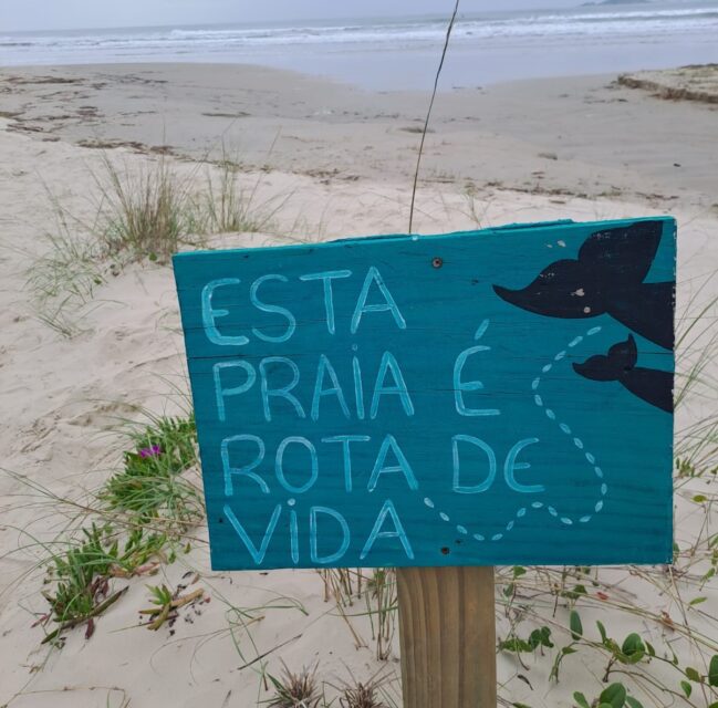 baleia franca